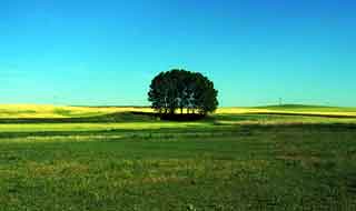 ribera/ fuente la Pita