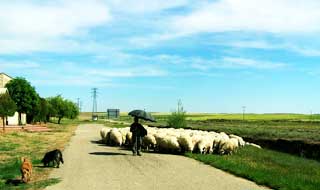 Juanito y reba&ntilde;o